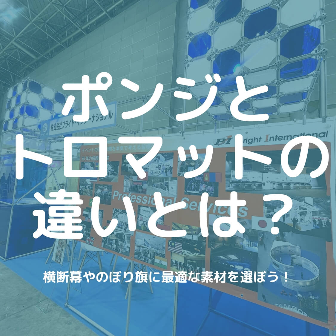 ポンジとトロマットの違いとは？